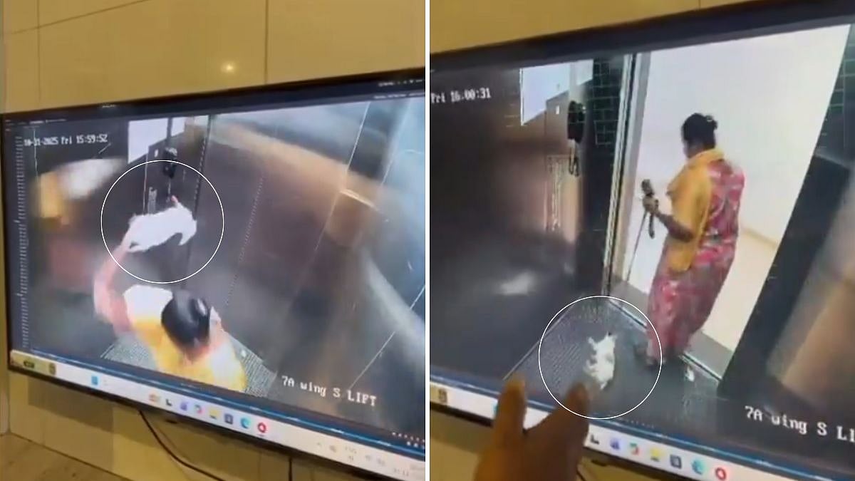 Cruelty Caught On Camera: Domestic Worker Smashes Puppy To Death Inside Bengaluru Apartment Lift; Prompts Investigation 