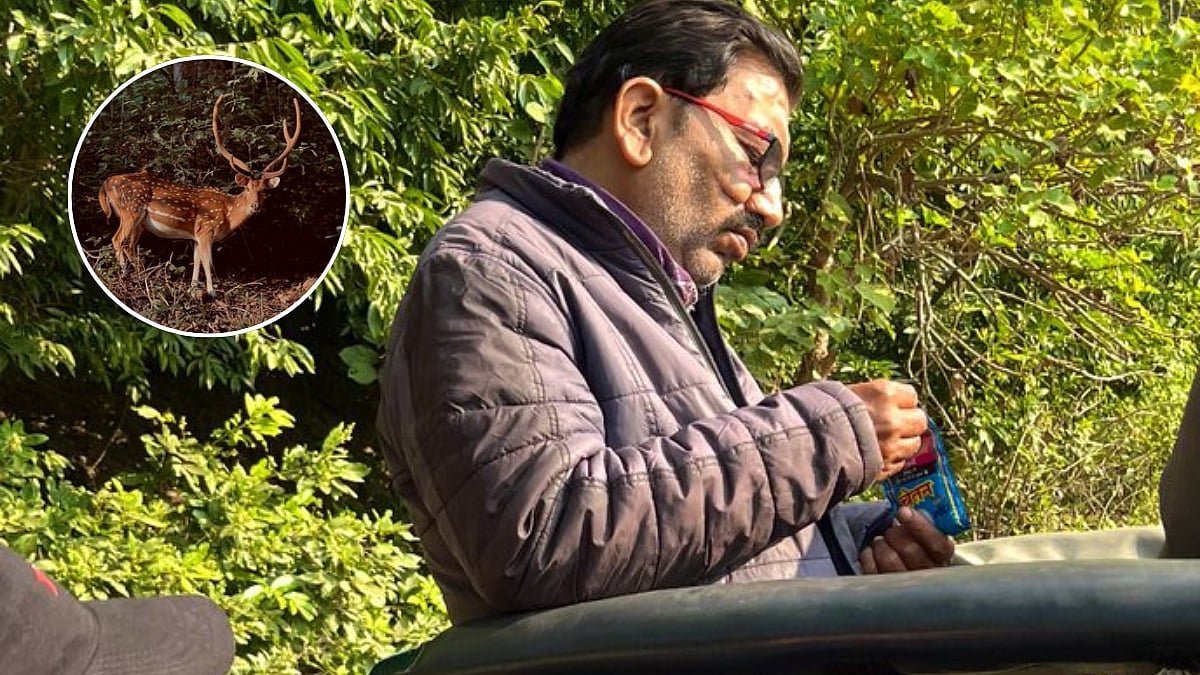 Tourist Shares Bizarre Experience With  Jim Corbett Safari Guide In Uttarakhand, 'Spotted Littering...