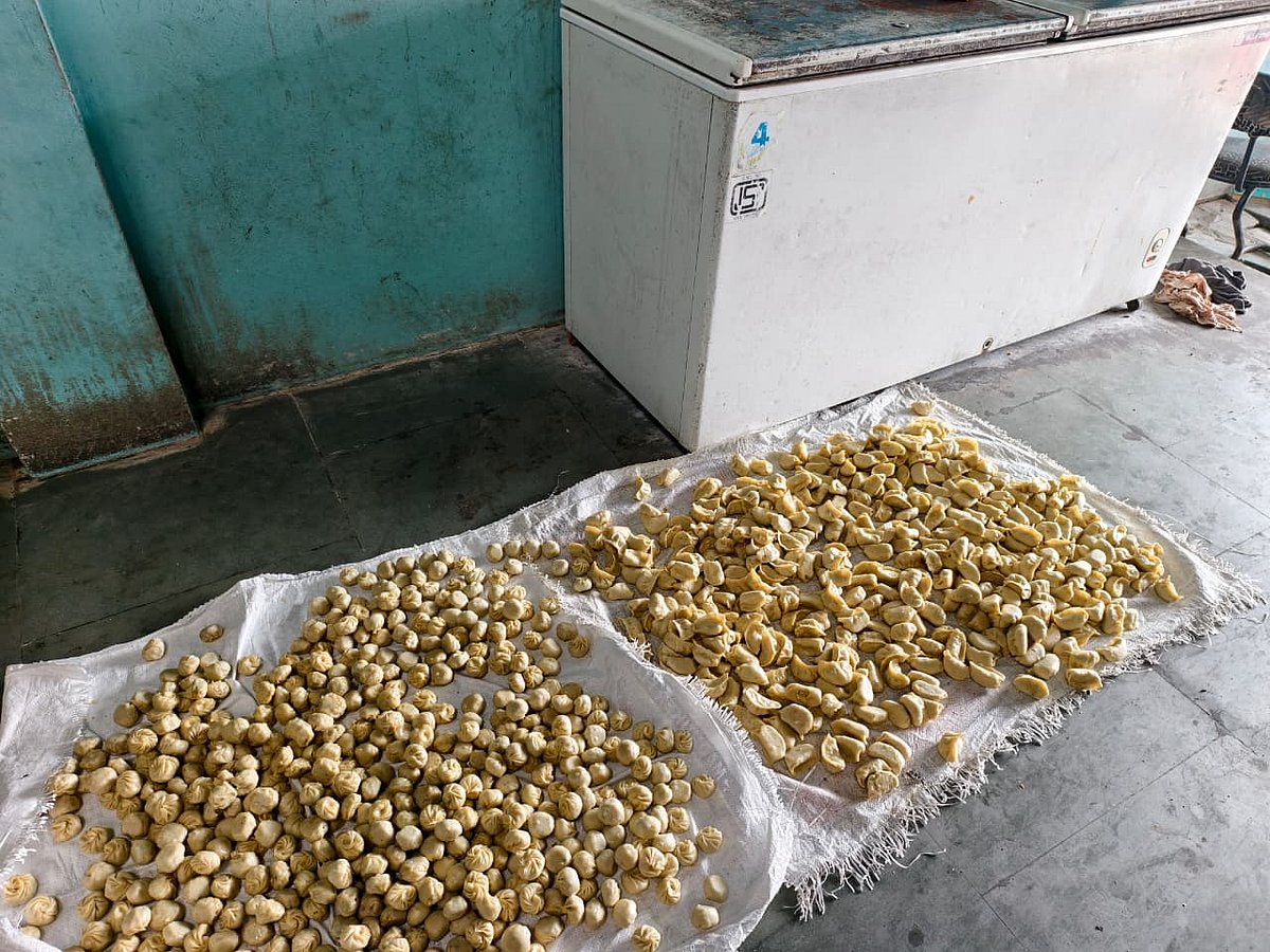 Indore News: Administration Seizes 150Kg Of Food Items From Chintu Momos