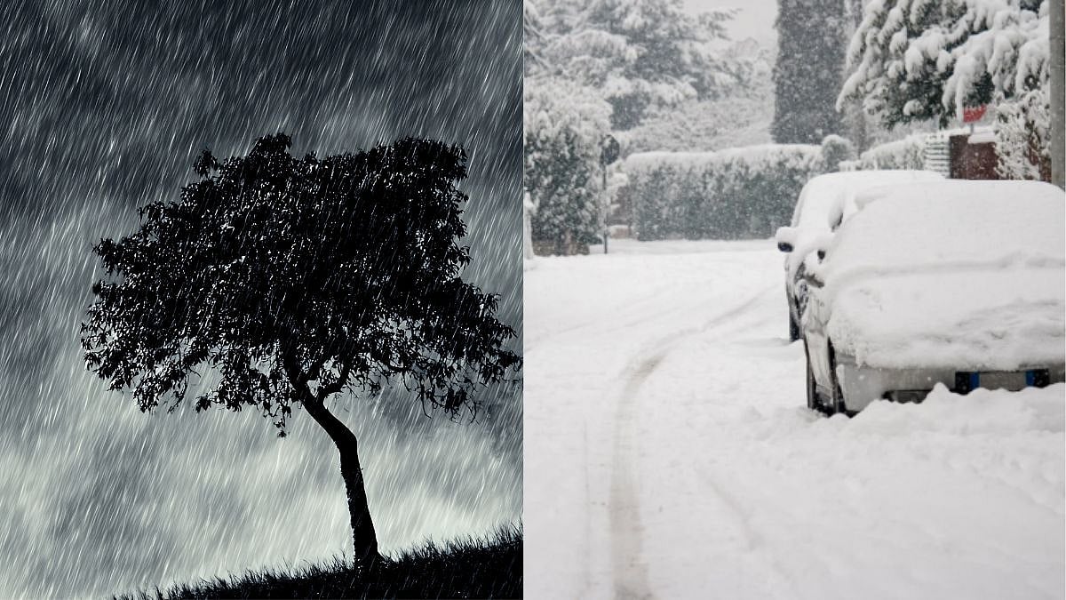 Weather News: Snowfall In Western Himalayan Region; Rain To Lash In J&K, Himachal Pradesh, Uttarakhand- Check IMD Forecast 