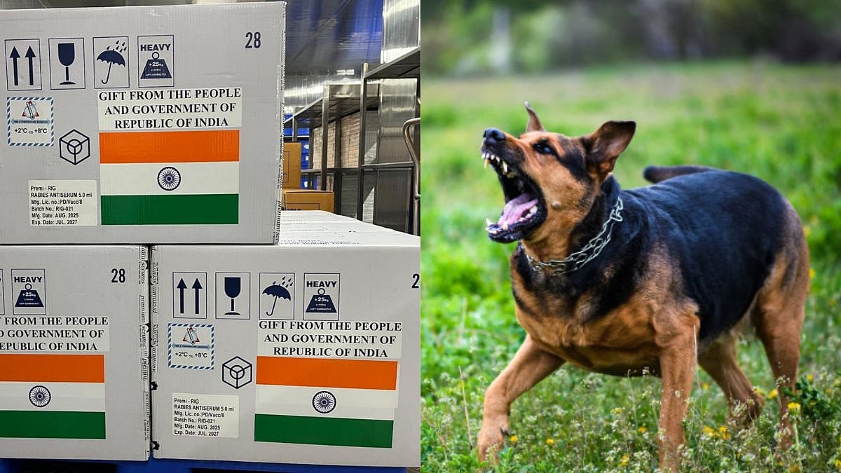 India Sends Vaccines To Timor-Leste As Island Nation Battles Rabies Outbreak