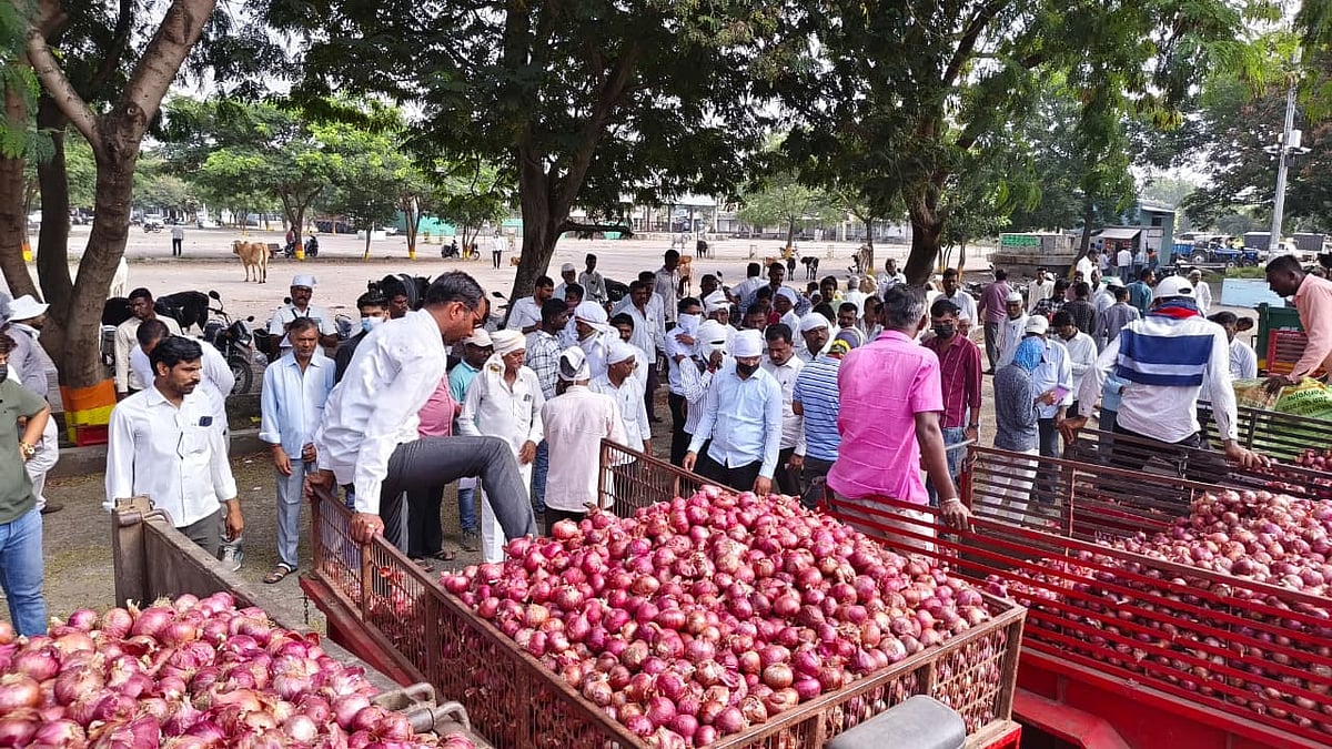 Nashik: Onion Prices Rise To ₹2,200 Per Quintal As Supply Declines Post-Diwali At Lasalgaon