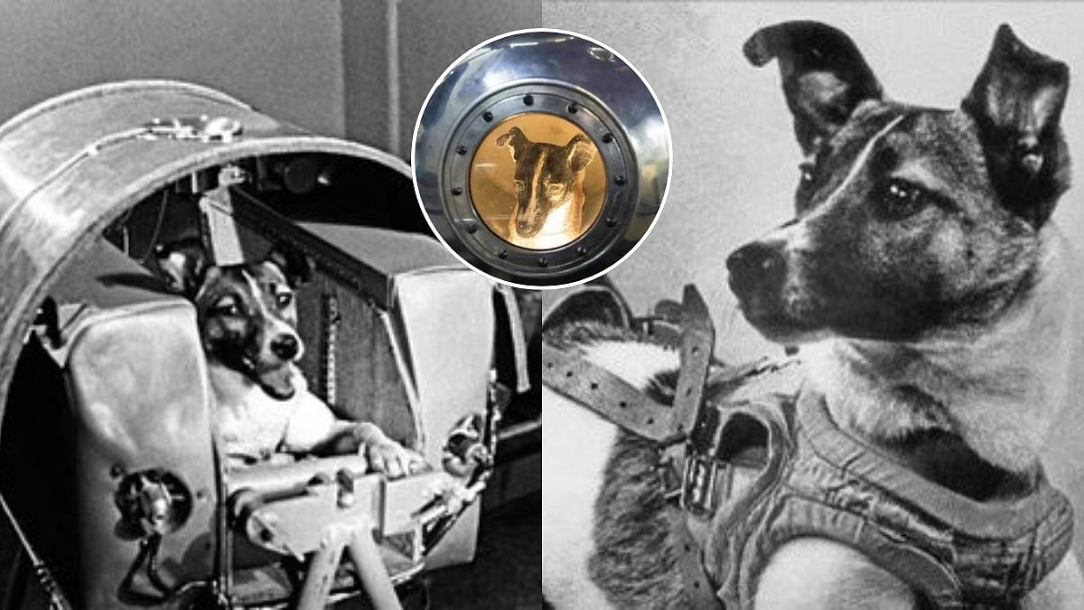 'First Animal In Space!' Tragic Tale Of Russian Dog Who Was Sent To Space 68 Years Ago But Never...