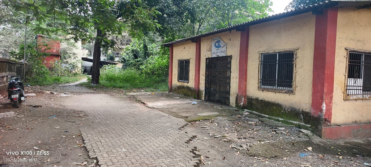 Bhiwandi’s Vanishing Green