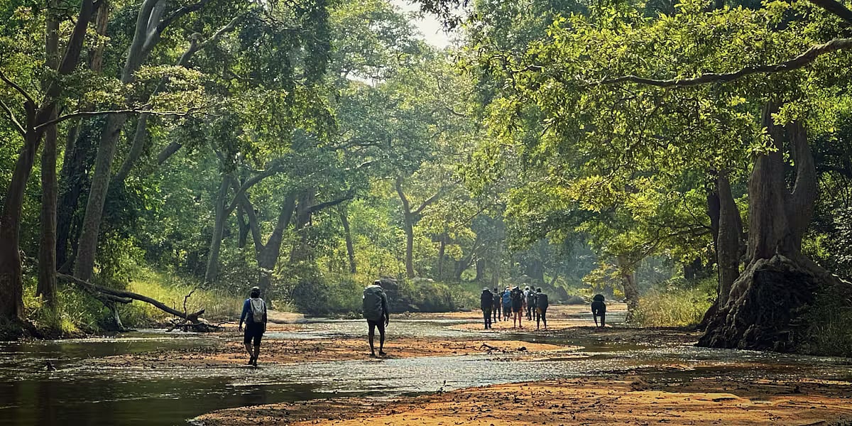 Pench Mowgli Trek: An Adventurous Trail Amid Home Of The Wilds; Check Out Stay, Camping Dates &...