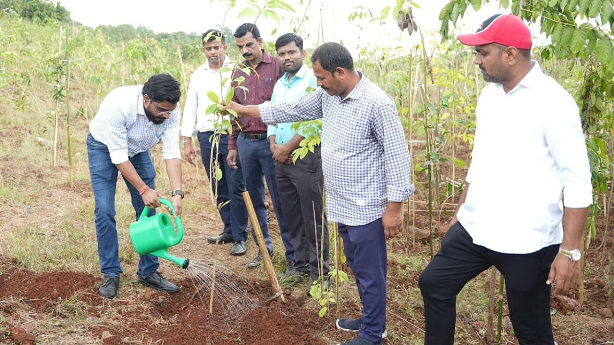 Panvel Municipal Corporation Launches Miyawaki Forest Project At Owe Village To Boost Urban Green Cover 
