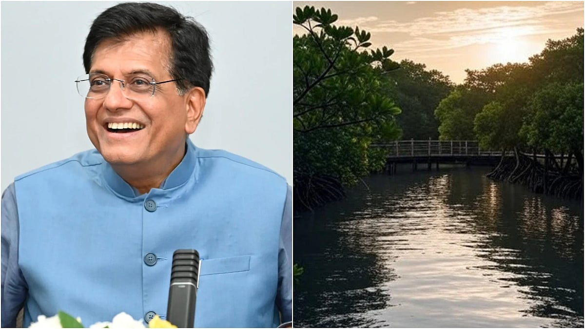 Gorai Mangrove Park To Open Soon, Says Union Minister Piyush Goyal 