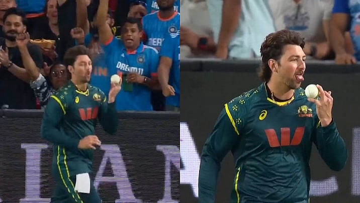 IND vs AUS 4th T20I: Tim David's Ice-Cream Celebration Goes Viral; Video