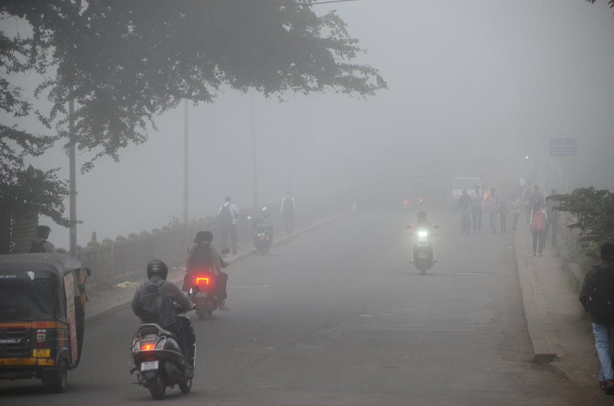 PHOTOS: Nashik District Shrouded In Fog; Experts Warn Of Impact On Crops And Livestock