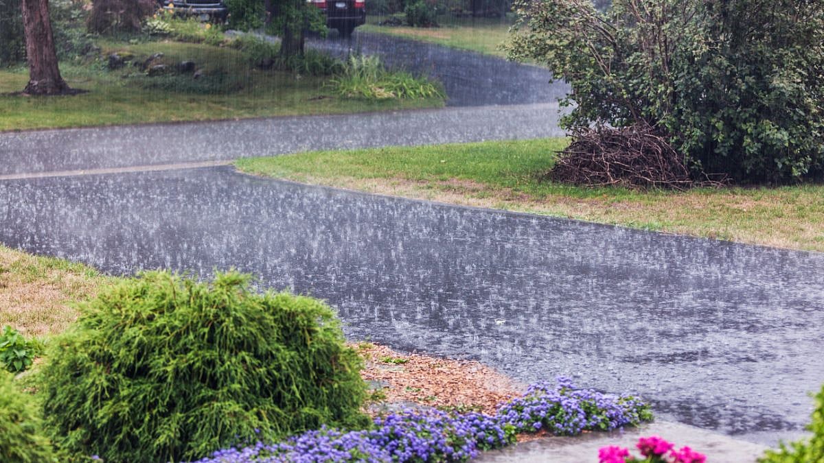 Weather News: IMD Issues Yellow Alert In These Parts Of Karnataka; Check IMD Forecast 