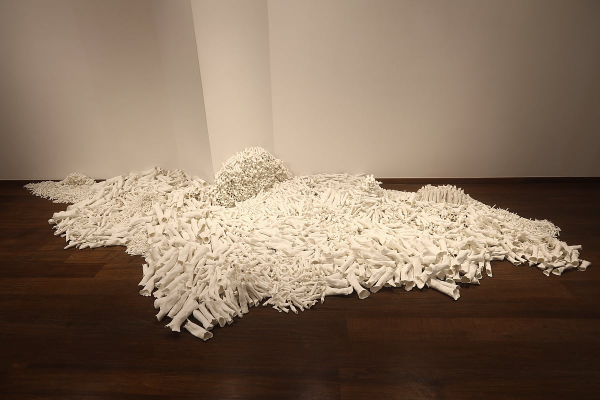 Shape Shifting Field by Savia Mahajan