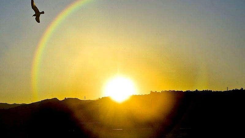 Madhya Pradesh November 7 2025, Weather Update: Dry Weather To Continue Across State; Temperatures...