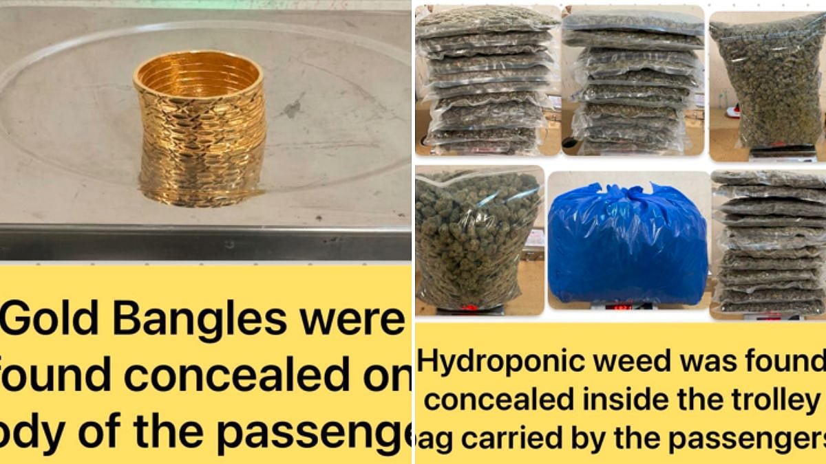 Crackdown At Mumbai Airport: Customs Nab 4 Bangkok Flyers With 18 Kg Hydroponic Weed, 1 Dubai Flyer...
