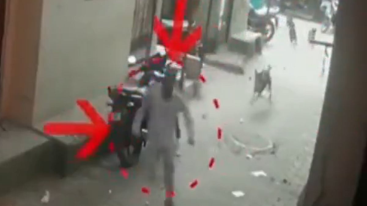 VIDEO: 38-Yo Surat Man Dies After Falling On Road While Escaping Dangerous Stray Dogs Attack 
