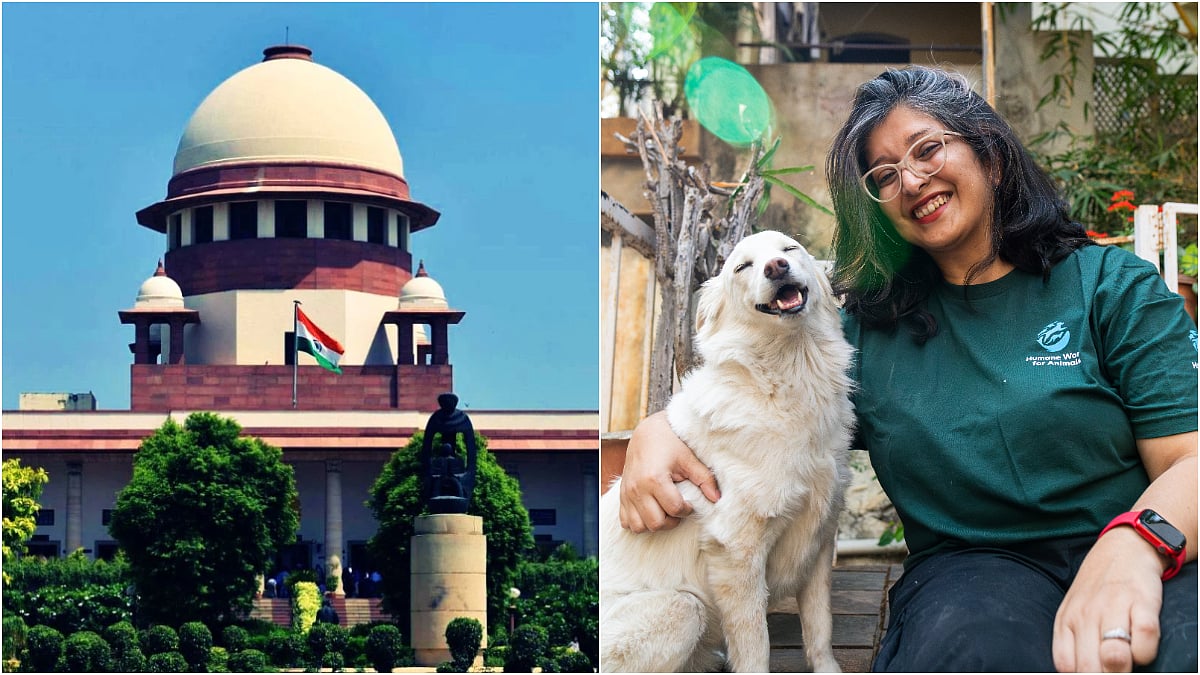 'Unsustainable & Counter-Productive': Animal Welfare Activists Condemn Supreme Court Order To Relocate Stray Dogs From Public Spaces 