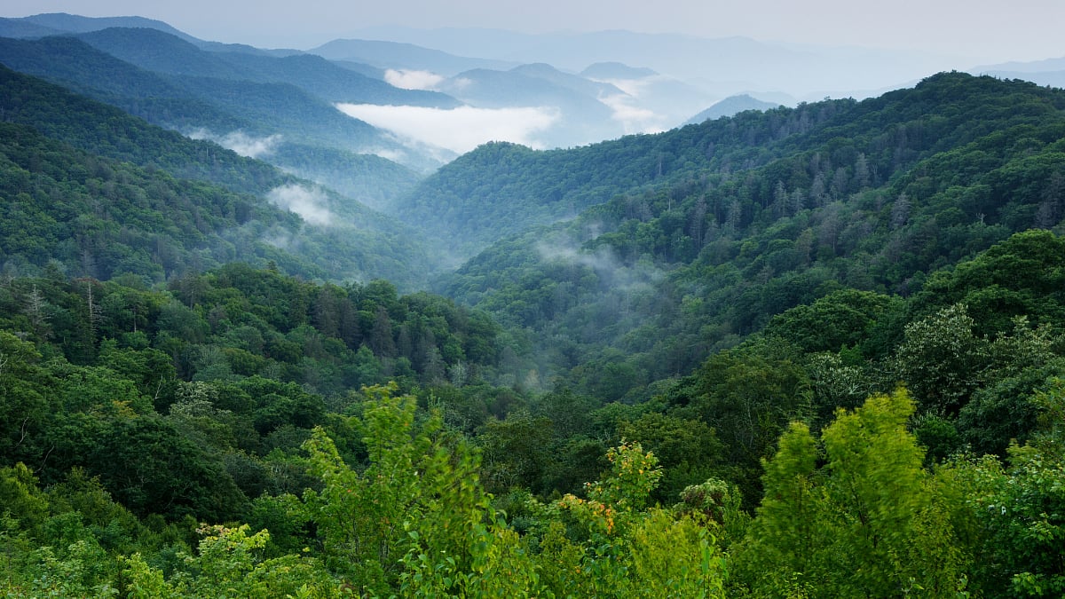 Escape The City: 5 Best Weekend Getaways Near Mumbai To Visit This November