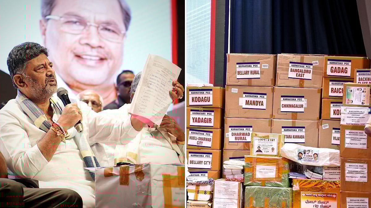 'Karnataka Govt Mulls Ballot Paper Voting For Local Body Polls Amid Voter Fraud Allegations': Deputy CM Shivakumar 