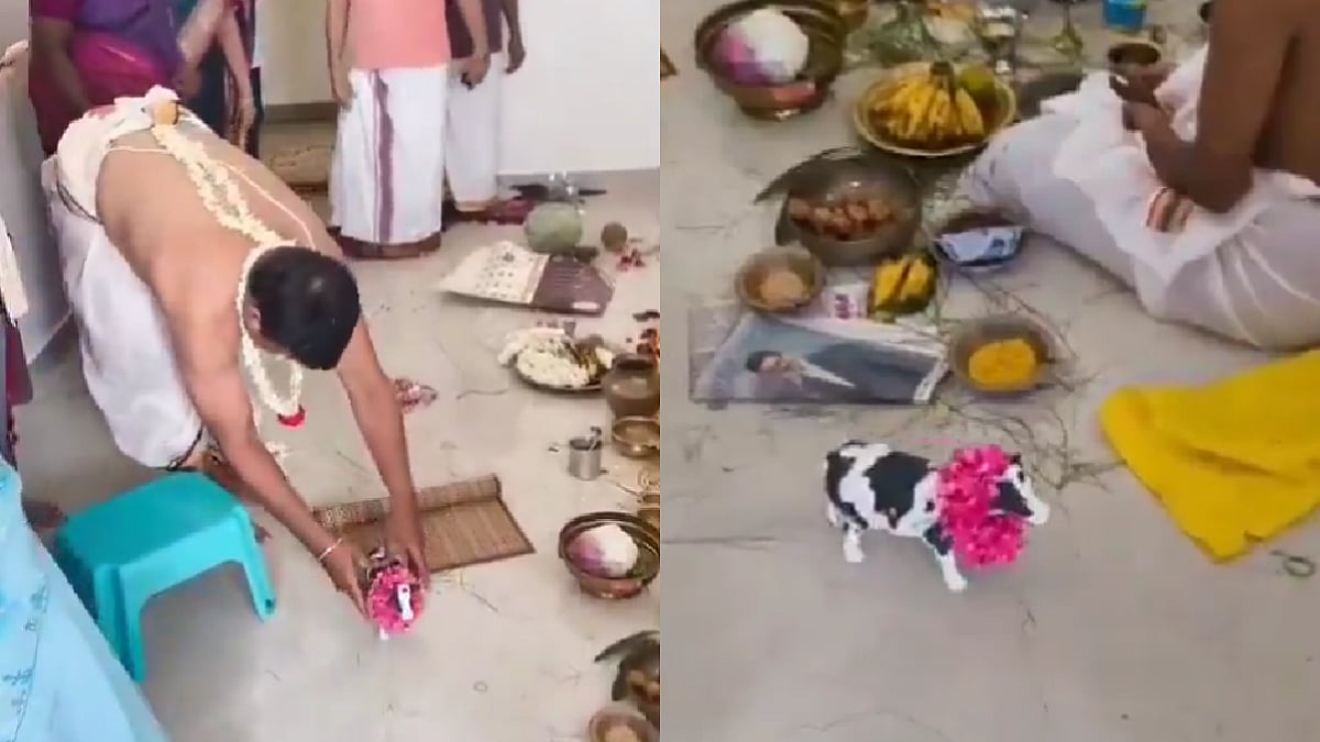 Viral Video Shows Toy Cow Replaced By 'Gau Mata' During House Warming Rituals, Netizens Say, 'Modern Problems Require Modern Solutions!' 