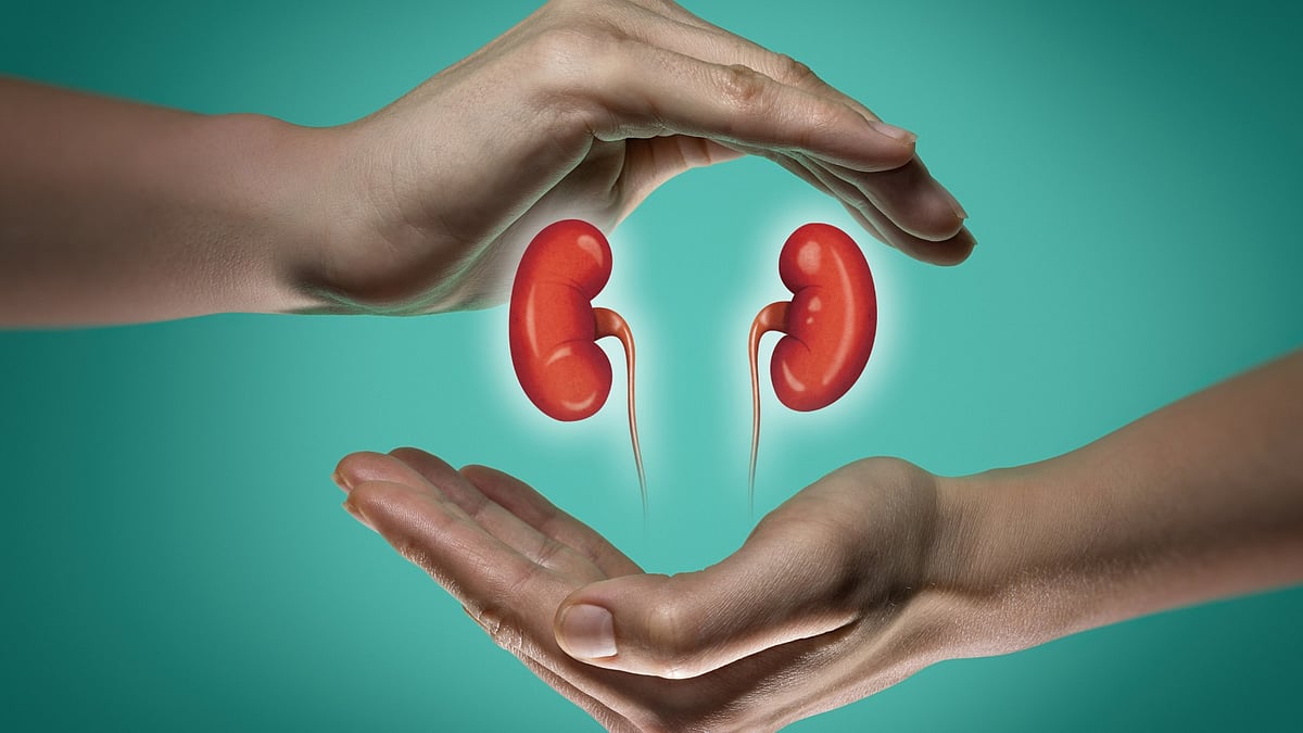 Treat Kidney Stones With This Effective Supplement
