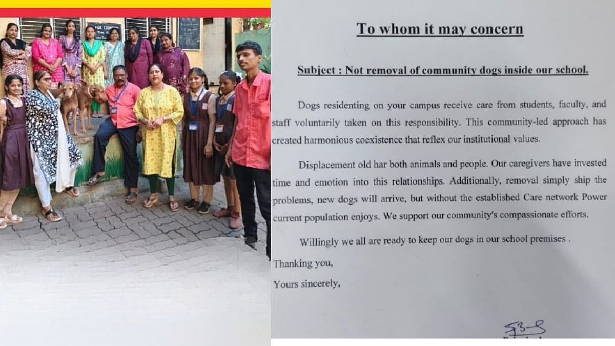 After Supreme Court Order On Stray Relocation, Mumbai School Requests to Keep Community Dogs on Campus 