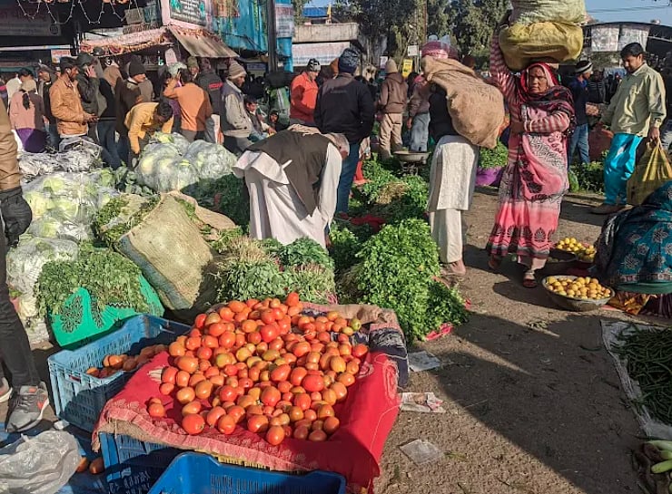 Indore News: Vegetable Prices Go North As Rain, Cold Hit Crops