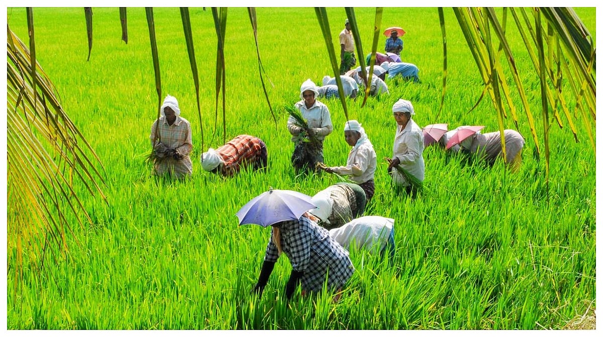 Kerala Startup Mission Launches New Project Called AgriNext, Roping In The Farming Community To Resolve Agricultural Problems 