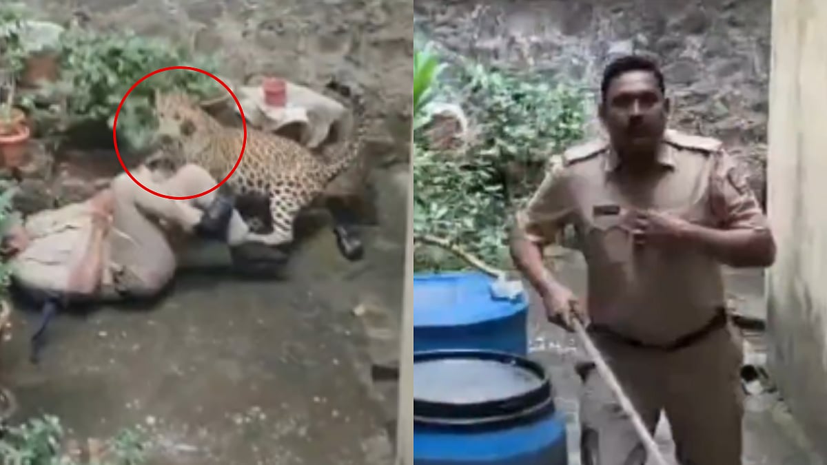 Police Officer Narrowly Escapes Deadly Leopard Attack During Rescue Operation In Kolhapur | WATCH 