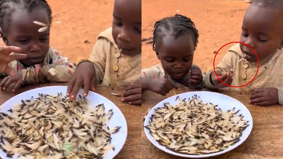 Viral Video Shows Starving Children From Uganda Eating Live Termites Amid Severe Food Crisis 