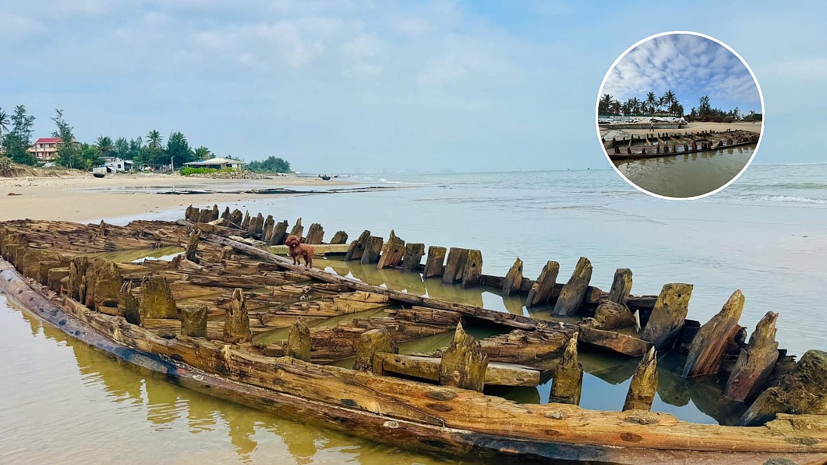 Centuries-old Shipwreck Emerges On Beach Amid Deadly Typhoon In Vietnam | Visuals Inside 