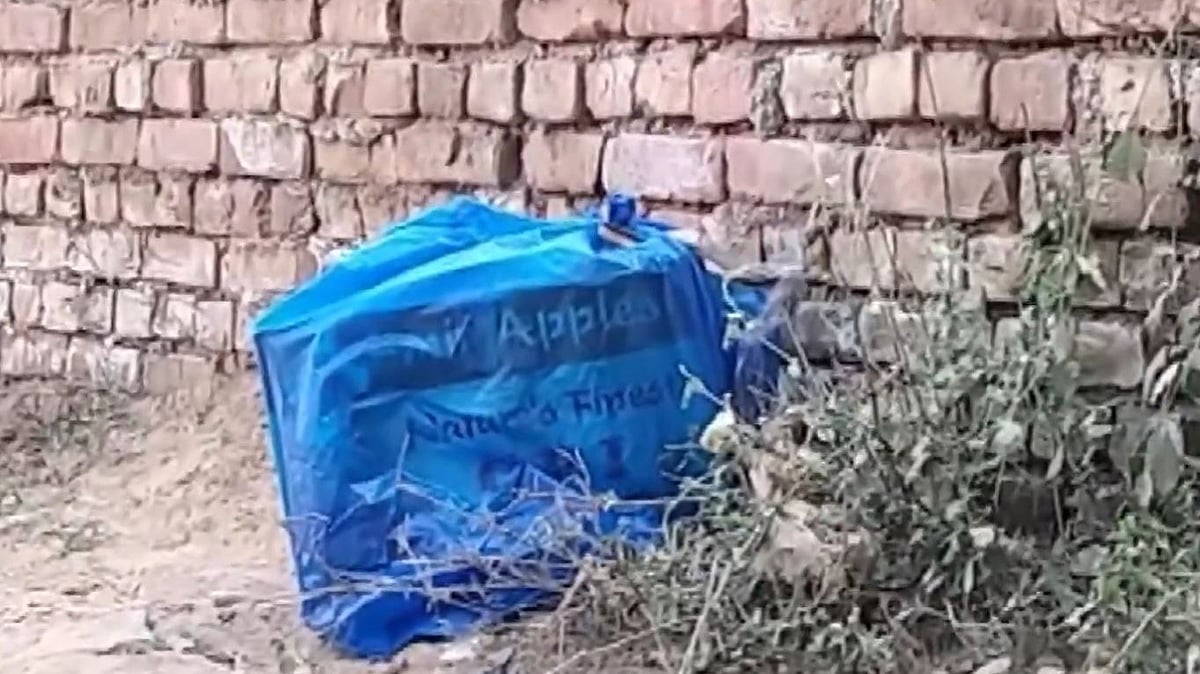 VIDEO: Haryana Police Reportedly Recover Huge Cache Of Explosives In Faridabad 