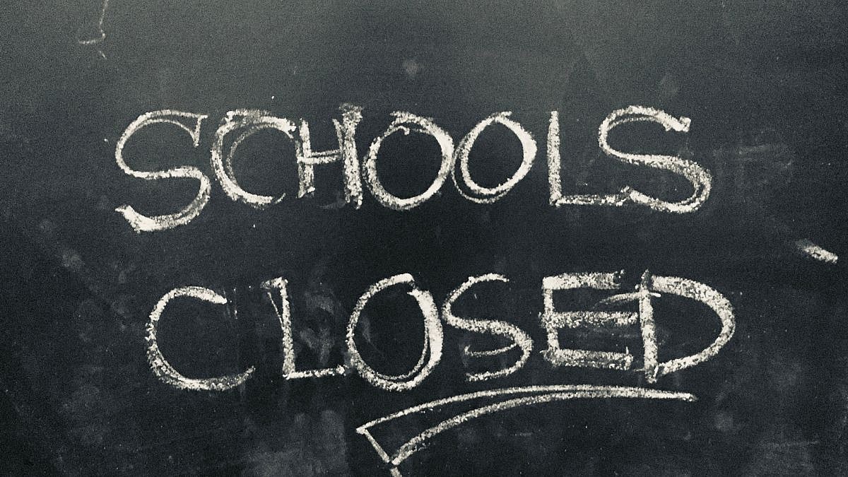 Bihar, Telangana Schools Closed On November 14 Due To Bye-Elections Voting Counts; Polling Underway 