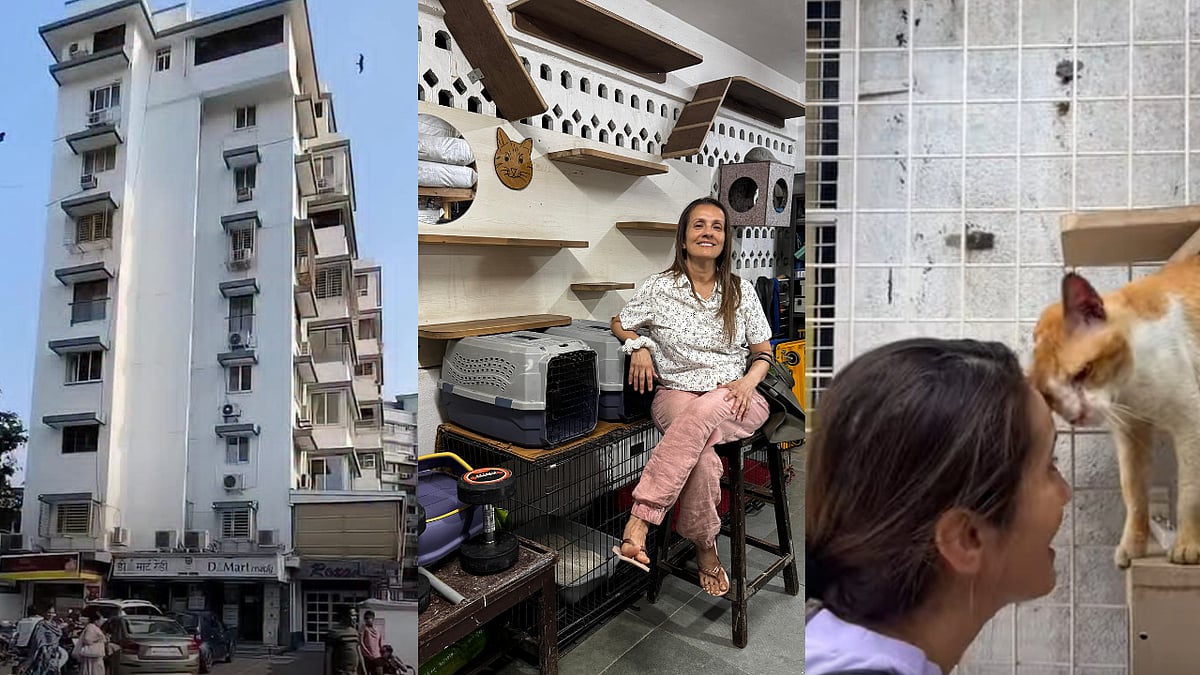 Mumbai News: Bandra Building’s Cat Sterilisation Initiative Sets Example For Humane Stray Care 