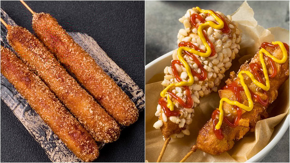 Nexus Seawoods Mall to host The Global Food Carnival 2025 featuring world cuisines, live performances, and family entertainment zones