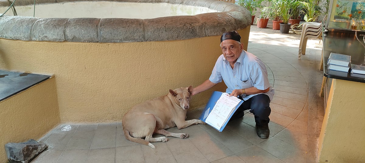 Mumbai News: Bhikha Behram Well’s Canine Residents Reflect Compassionate Model Amid Supreme Court Order On Strays 