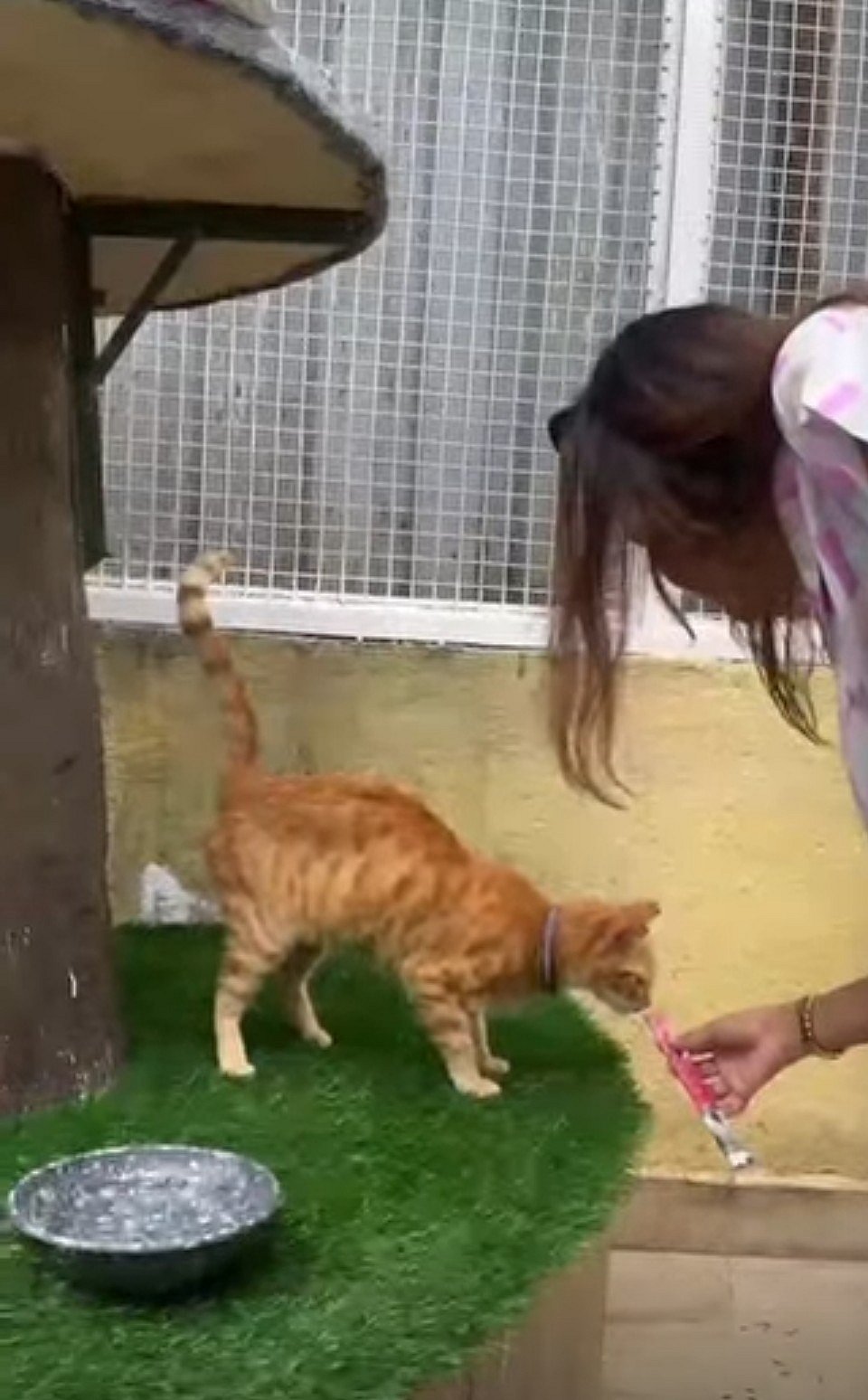 Sausan Bukhari in her Bandra battery