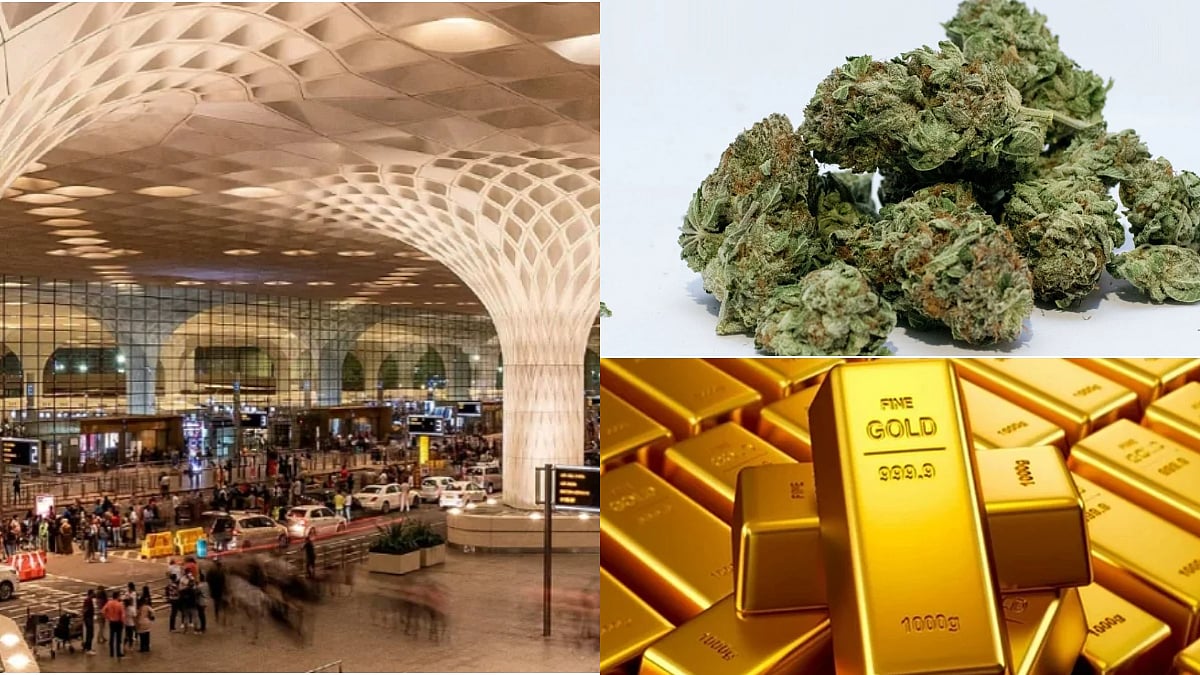 Mumbai Airport Customs Seize Hydroponic Weed, Gold & Foreign Currency Worth Over ₹12 Crore 