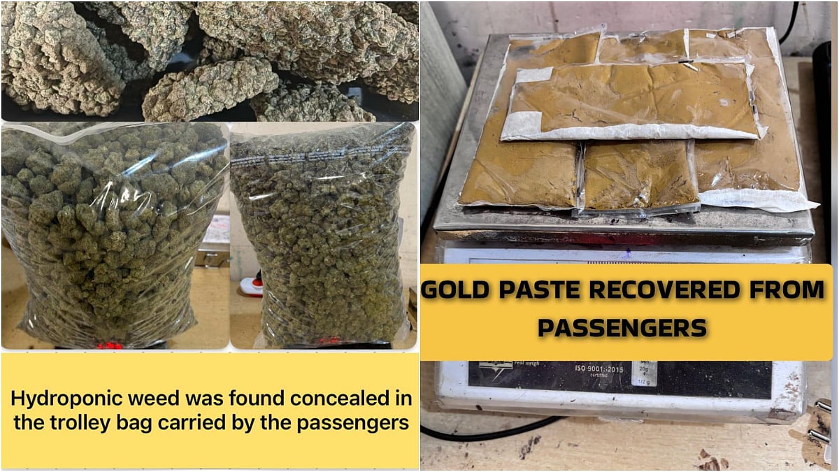 Mumbai Airport Customs Seize ₹10.54 Crore Hydroponic Weed, ₹2 Crore Gold And Foreign Currency In 6 Separate Cases 