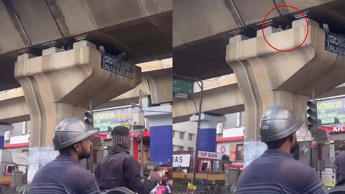 Bengaluru Man Spotted Sleeping Inside Flyover Pillar, Here's How Police Respond After Video Goes Viral 