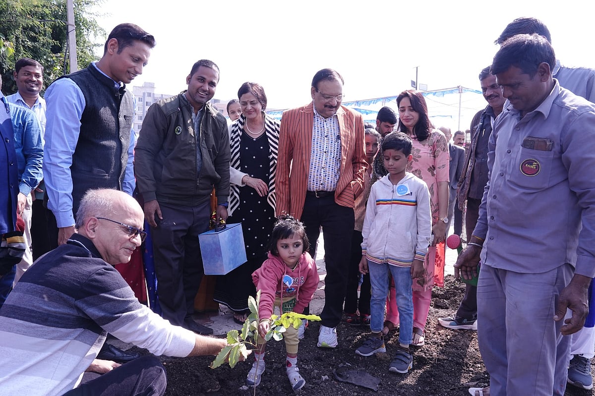 Indore News: Beeja Plants Play Vital Role In Controlling Diabetes, Finds Study