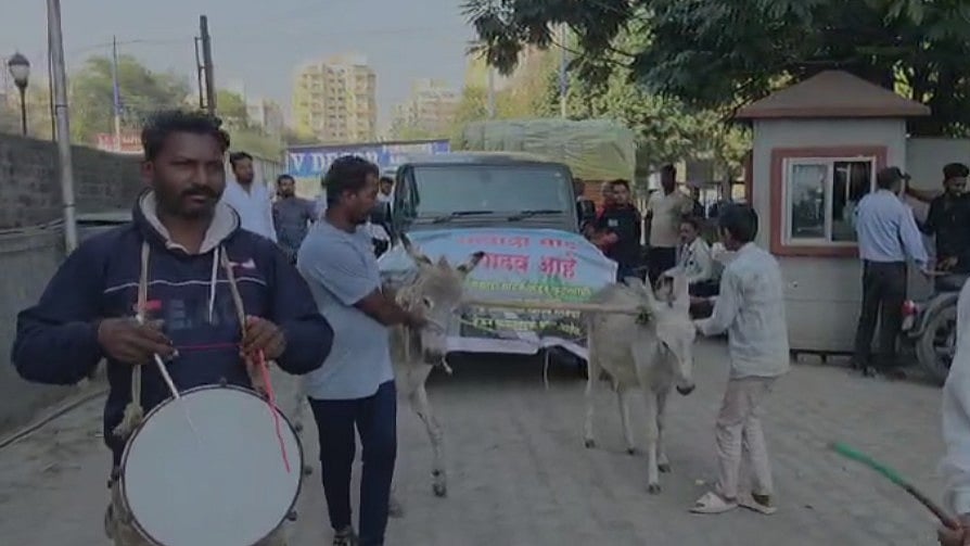 Pune VIDEO: Frustrated Mahindra Thar Owner Ties Donkeys To SUV, Drags It To Wakad Showroom In...