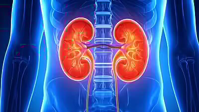 Indore News: 10-Year-Old Suffers Kidney Failure Due To Substance Abuse