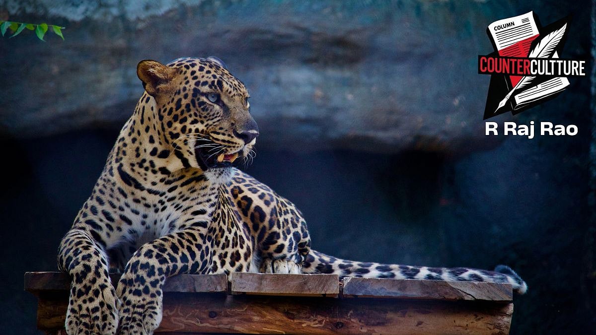 Counterculture: When Predators Strike, Only The Poor Bleed