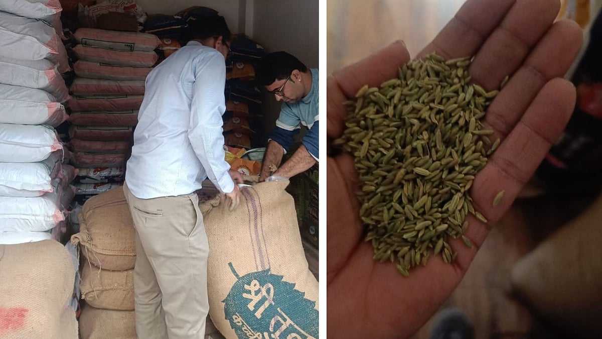 Indore News: 900 Kgs Of Fennel, 400 Kgs Of Poppy Seeds Seized