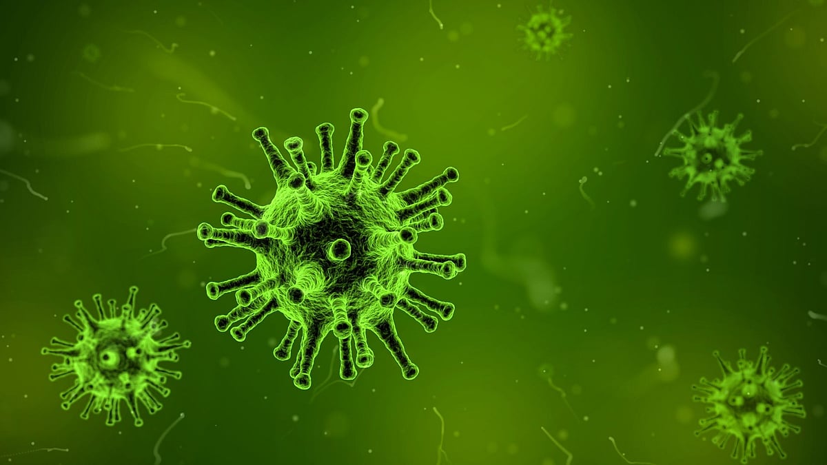 Marburg Virus | Canva