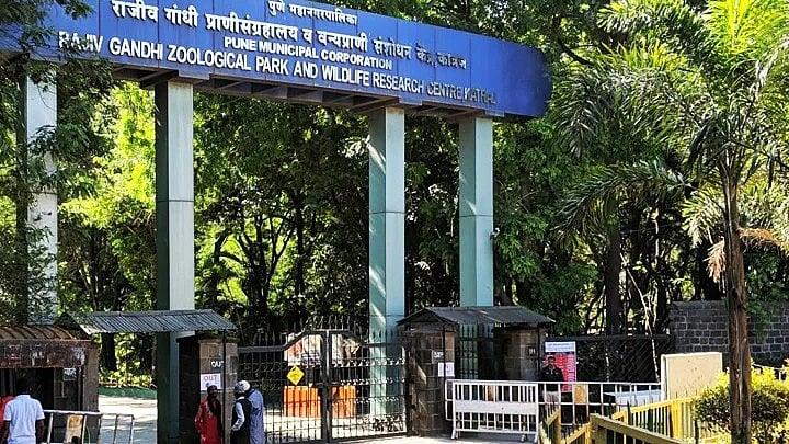 Pune: Katraj Zoo To Add Zebras, Lion-Tailed Macaques; Proposes 50% Ticket Hike—Here's What You'll...