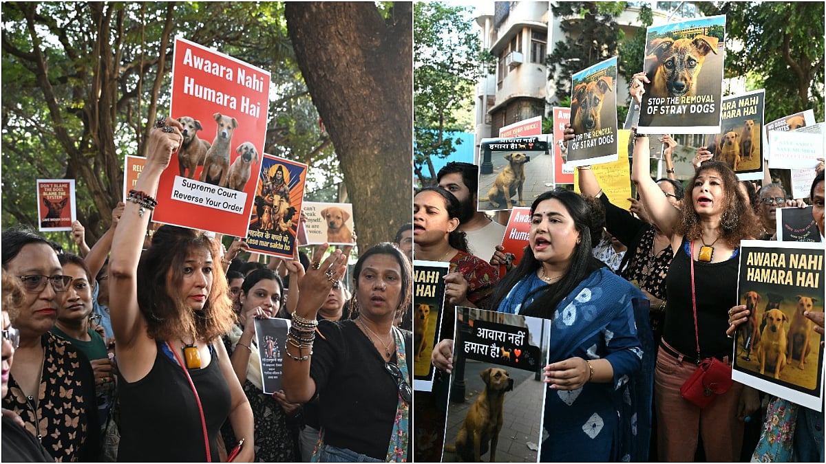 ‘Coexistence, Not Cruelty’: Animal Activists Flood Mumbai's Shivaji Park To Protest Supreme Court Stray Dog Relocation Order | VIDEO 