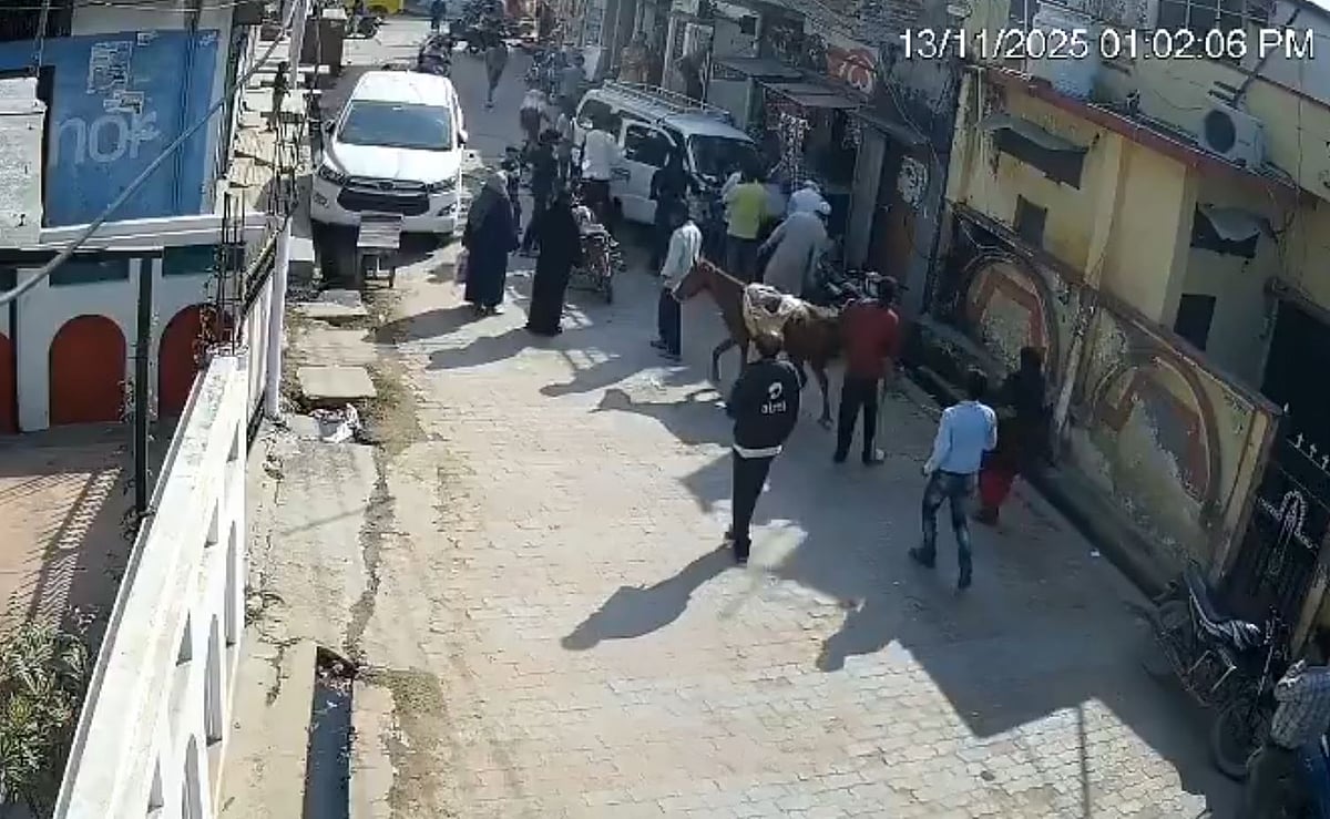 On Camera: Van Rams Into 10-Year-Old Girl Walking On Road In UP’s Bahraich; FIR Registered