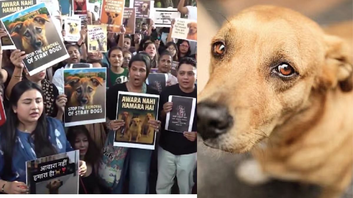 Mumbai: Youth Congress Workers Protest Against SC Order Directing Removal Of Stray Dogs From Various Institutions | Watch Video 