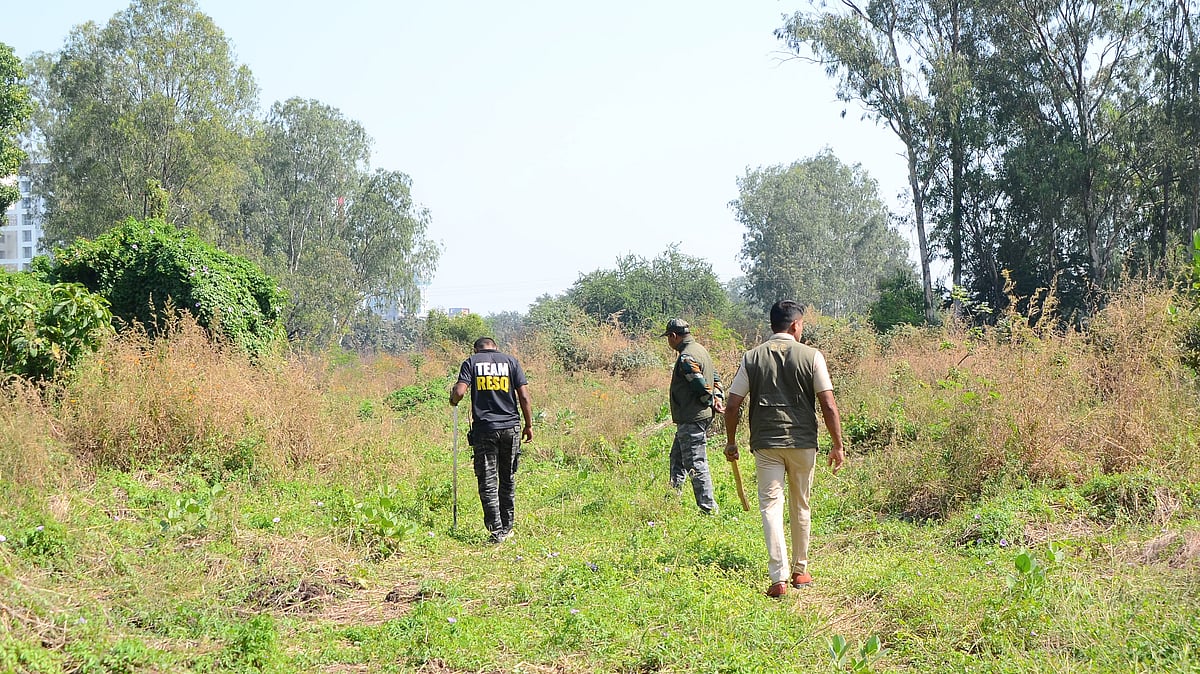 Nashik: WhatsApp Rumour Sparks Leopard Scare At Bhonsala Military School; Turns Out To Be Asian Palm...