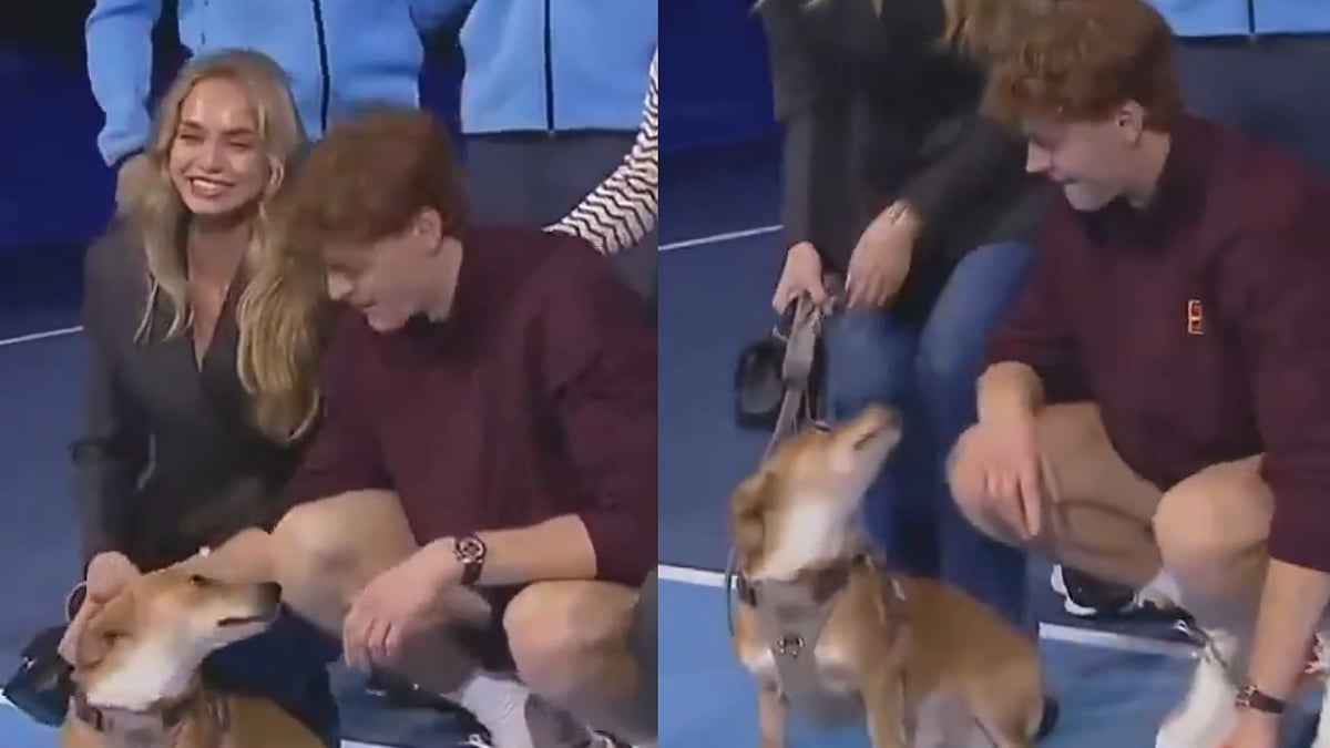 Adorable Scenes! Jannik Sinner's Playful Moment With Dog Goes Viral After Winning ATP Finals; Video 